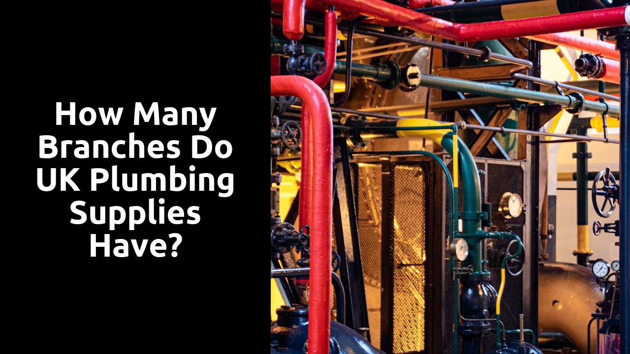 How many branches do UK plumbing supplies have?